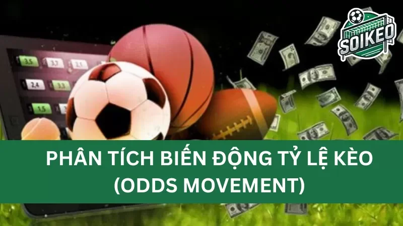 cách sử dụng biến động tỷ lệ kèo để đặt cược