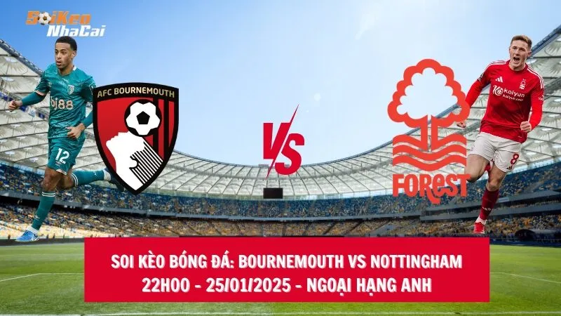 Soi kèo nhà cái Bournemouth vs Nottingham – 22h00 – 25/01/2025 – Ngoại hạng Anh