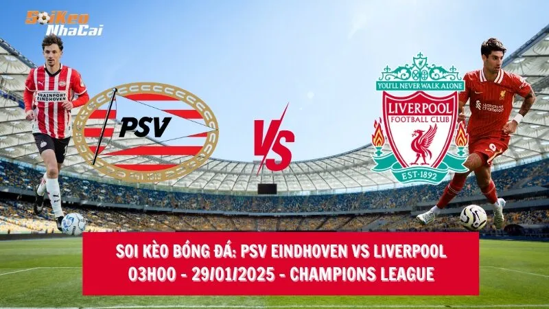 Soi kèo nhà cái PSV Eindhoven vs Liverpool – 03h00 – 30/01/2025 – Champions League
